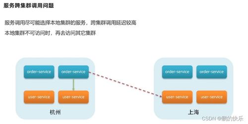 輕松掌握微服務(wù)治理 從Eureka到Nacos的注冊中心核心知識與互聯(lián)網(wǎng)域名服務(wù)探析